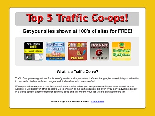 Top Traffic Co-ops System